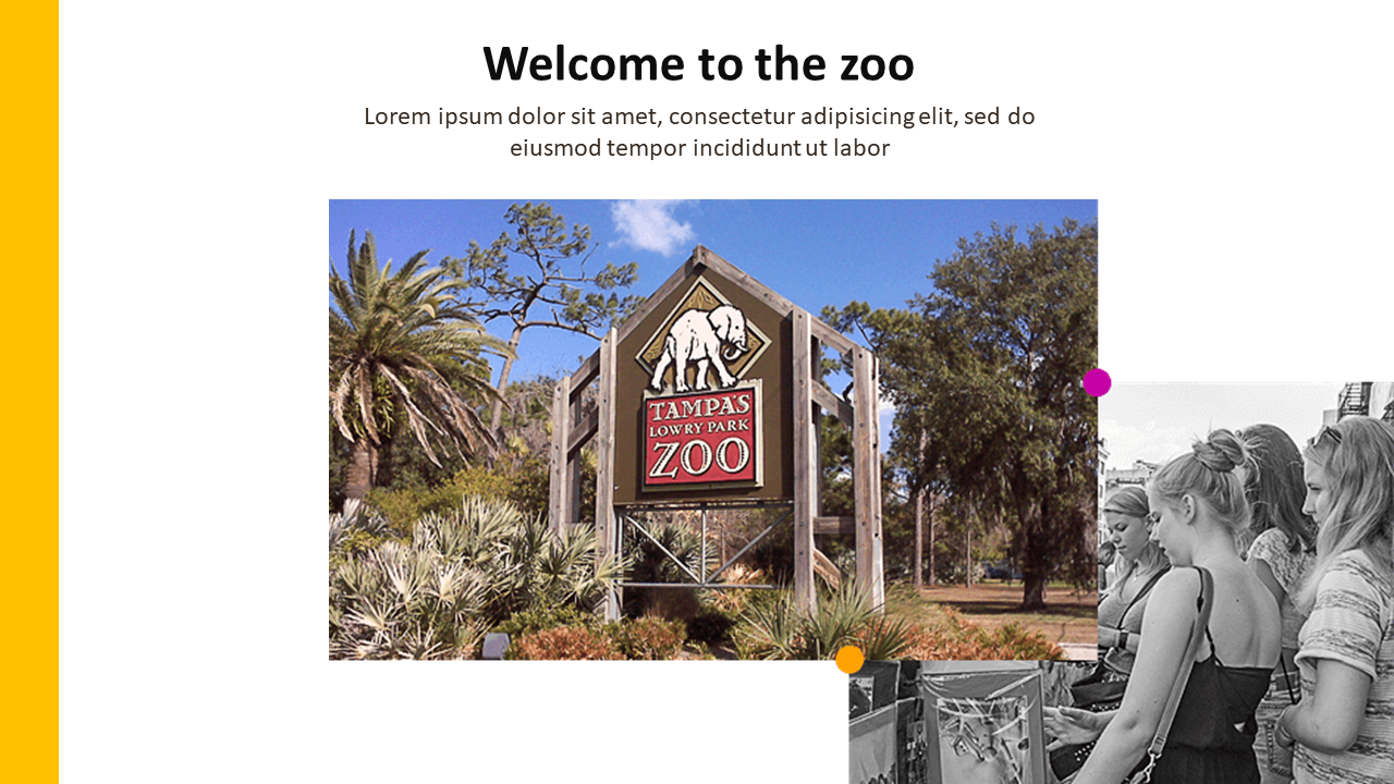 Zoo PowerPoint Template PPT
